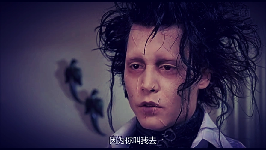 《剪刀手爱德华》他依然爱着那个女孩,虽然后来他永远留在城堡里,自从