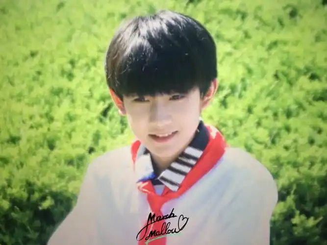 tfboys颜值担当王源# 噔噔噔 出来一个最好看的人儿