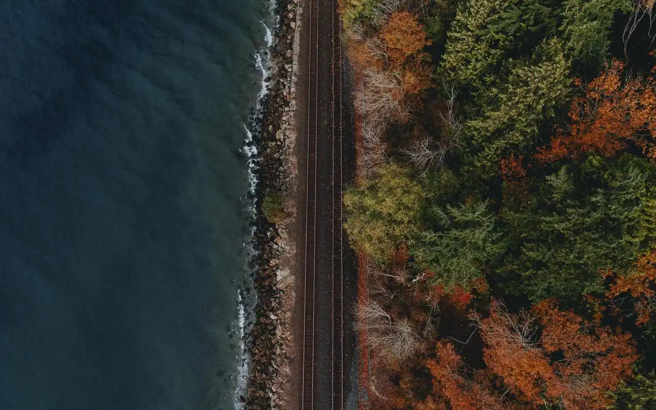 懒惰的本质是什么?