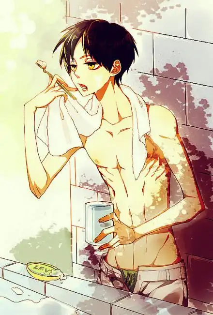 急,求进击的图片~(最好是兵长,艾伦,埃尔文,韩吉的)十张以下别捣乱,不