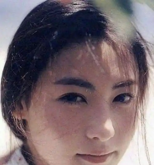 张柏芝,终将为自己的"撒谎成性"付出了代价_向太_陈晓东_成为了