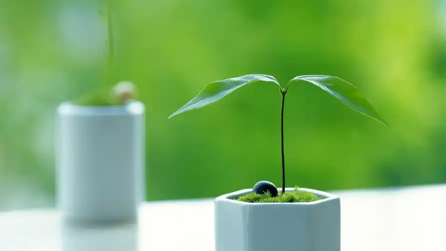 唯美清新护眼绿叶高清宽屏桌面壁纸高清大图预览1920x1080_植物壁纸下