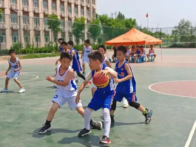 喜报!滨城区清怡小学在全市首届校园篮球联赛中勇夺u10混冠军
