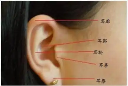 一,耳垂有痣耳垂大而厚说明晚年的运气比较好,因为耳垂代表晚年的运势