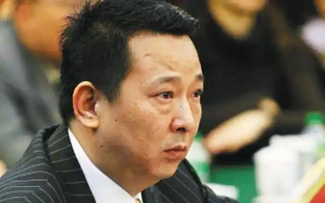 刘汉前妻杨雪()