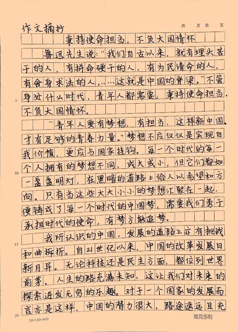 高分作文摘抄《秉持使命担当,不负大国情怀》#作文 #抖音图文 - 抖音