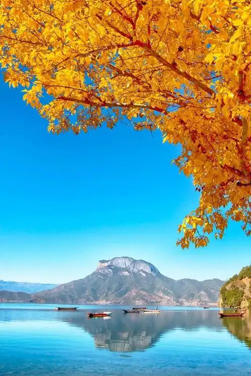 最美的风景图片大全鸟语花香人间仙境图片