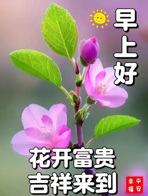 今日最新版本早安早上好精选图片,新的一天,愿你快乐美好!