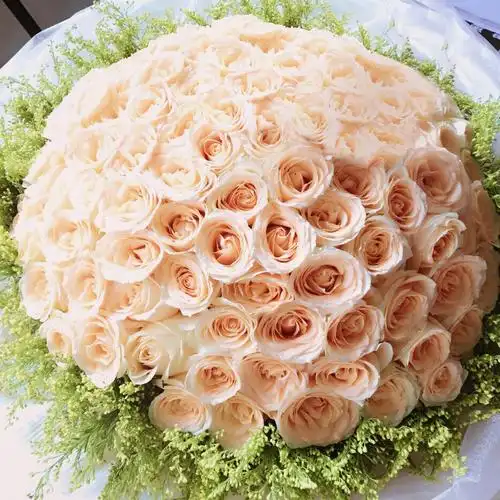 无悔的爱99枝香槟玫瑰韩式花束