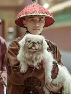 延禧攻略演员表