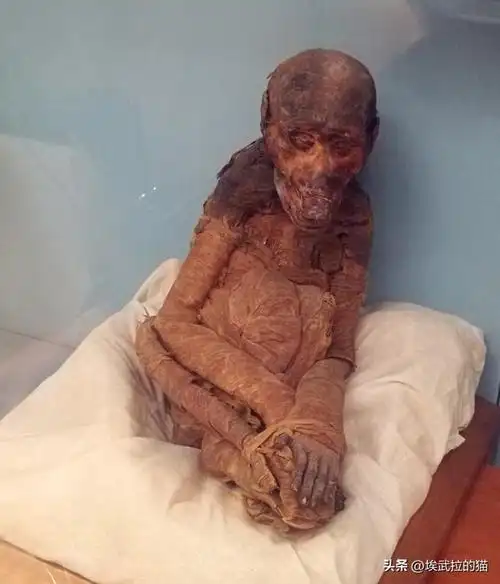 古埃及万物皆可木乃伊,欧洲全民吃木乃伊_网易订阅