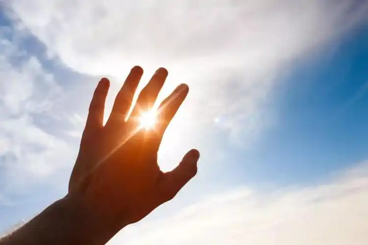 杏仁堂健康养生//它可是我们身边的免费补药!可惜大多数人不知道 _ 药