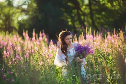 美丽的年轻女孩,薰衣草在外地举行日落.沃尔玛