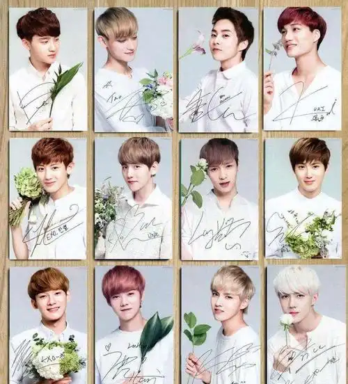 exo十二人资料韩国热门男团之exo