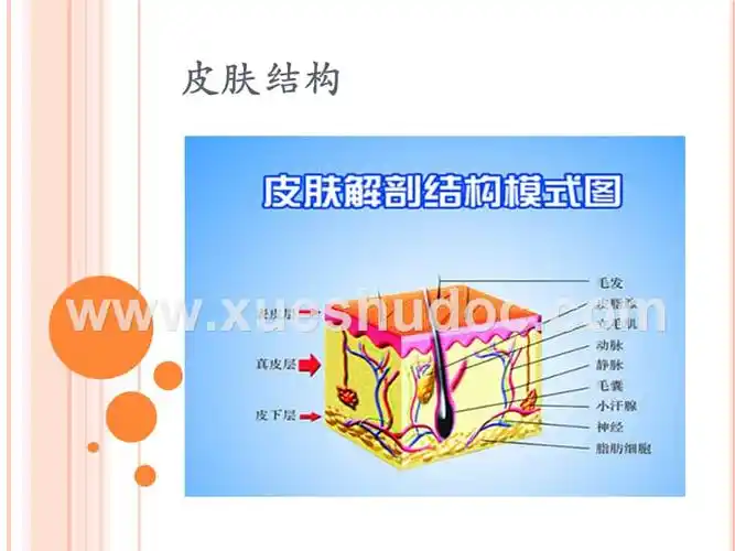 2018压疮护理措施课件_第3页