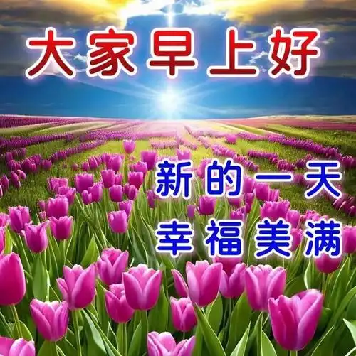 如晨曦般明媚,事业如朝阳般蓬勃,早安,愿吉祥与你同在,好运伴你每一步