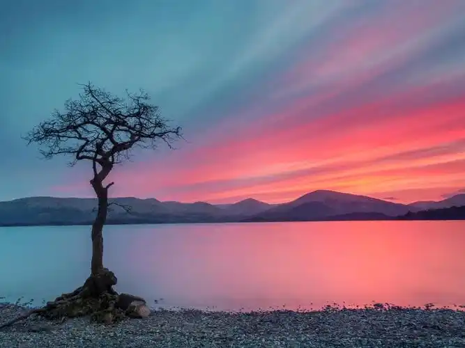 描述: 孤独的树-自然高清壁纸 当前壁纸尺寸: 1024 x 768