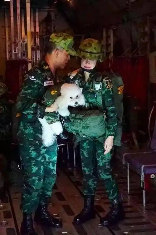 泰国王妃86天被废,宫斗失败:王的女人到底经历了什么?_妮娜_拉隆_王室