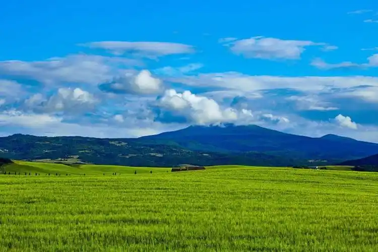金色麦地 向日葵花开 金秋风景 4k壁纸(3840x2160) - 4k植物高清壁纸