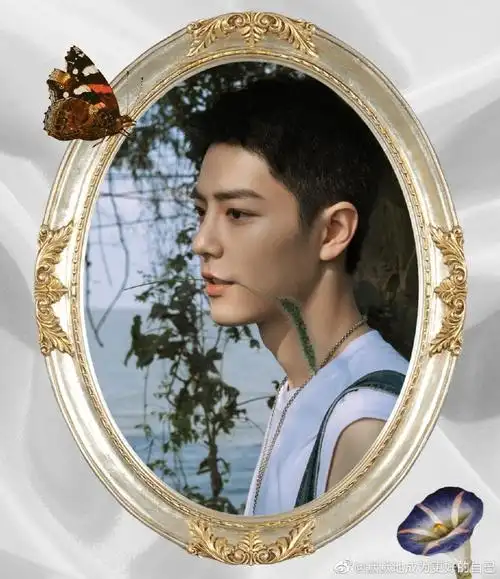 肖战超话#肖战平安喜乐#xz#肖战正能量艺人#主题:"网红"狗尾草的花语