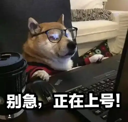 拿刀正在来无所谓的家里搞笑表情包斗图表情