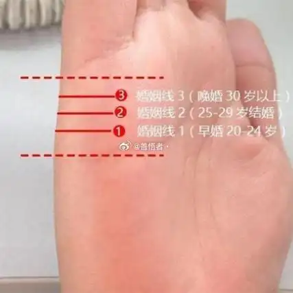 1. 拥有三条婚姻线的人,恋爱经历丰富,但成功的感情却不多.
