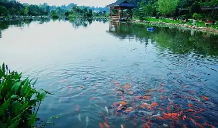 湖南省 长沙县江背镇梅花社区锦绣江南园林度假庄园门票,马蜂窝自由行