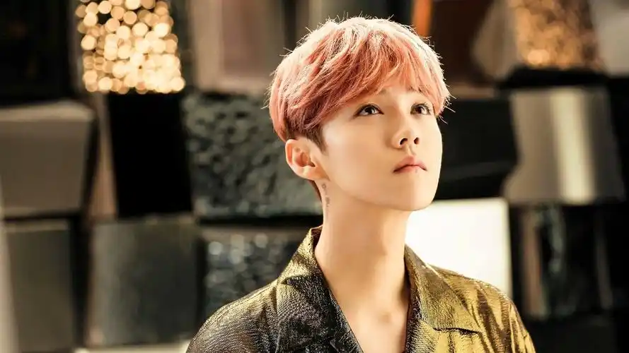 鹿晗明星风尚壁纸8