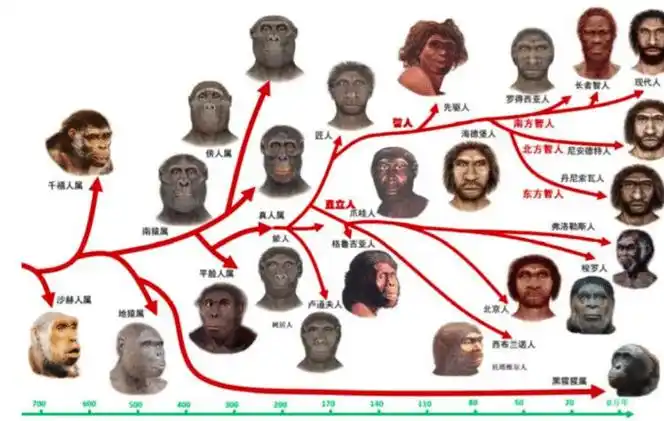 中国最年轻的7个科学家 唐有祺:结晶牛胰岛素背后的科学家-暗点博客