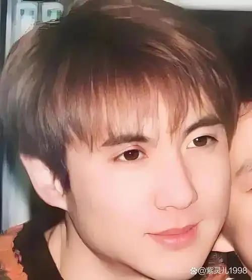 沈腾年轻时真帅啊,发量也很多.他曾是解放军艺术学院的校草