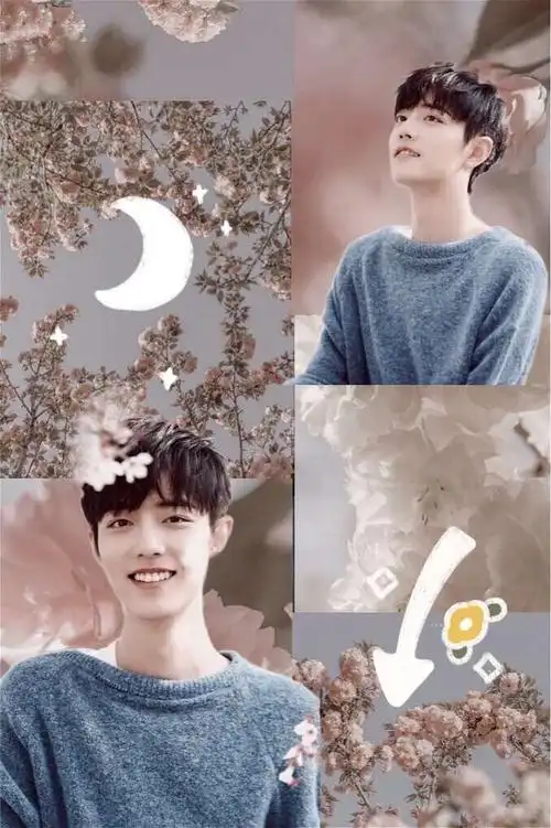 肖战壁纸(form秋怡)