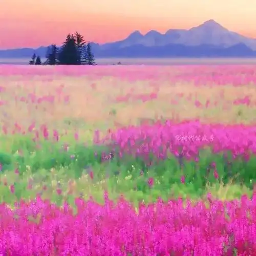 头像漂亮山水花草风景图片