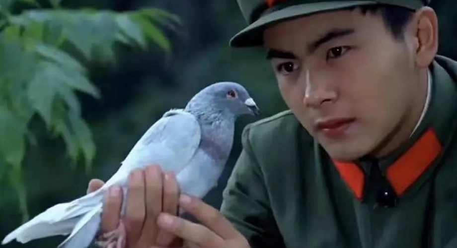 照片中的洪剑涛还没有发福,五官棱角分明,目若朗星,英气逼人,妥妥的