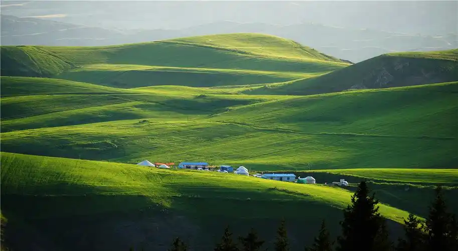 奇台征稿草原篇