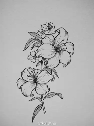 素描画作花手账素材