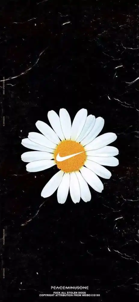 gd龙权志龙peaceminusone小雏菊壁纸合辑高清版