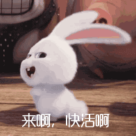 196_196gif 动态图 动图