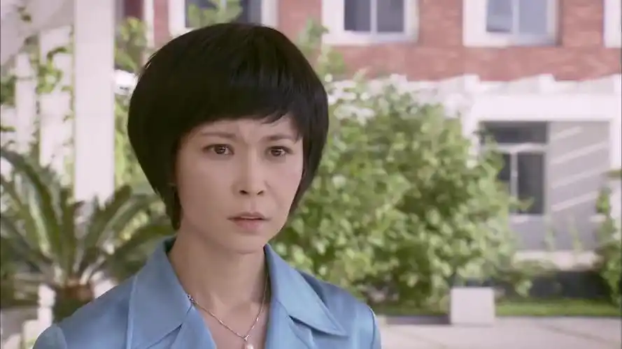 为您推荐: 包香兰打起杨家豆腐的主意,买厂房赠秘方,亏她想得出来!