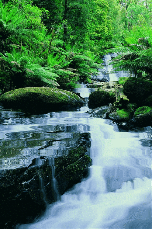 600_904竖版 竖屏gif 动态图 动图