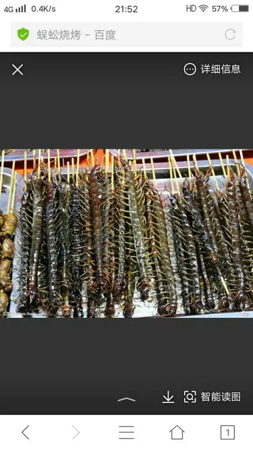 不是有油炸蜈蚣,烧烤蜈蚣的嘛,竹签一串这么大个估计要三十一条