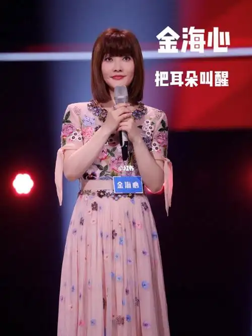 内地宝藏女歌手