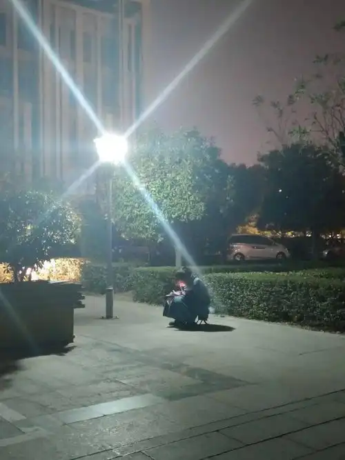 成了你唯一的陪伴路灯下的影子你裹紧被冷风吹开的衣襟记不清多少夜晚