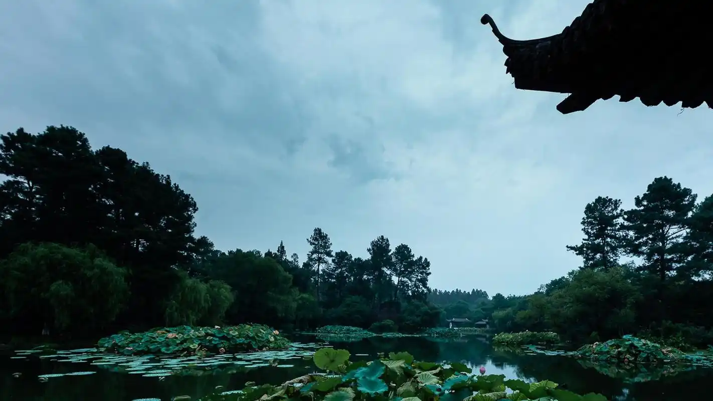电脑壁纸 人文 名胜古迹 杭州西湖曲院风荷雨中美景