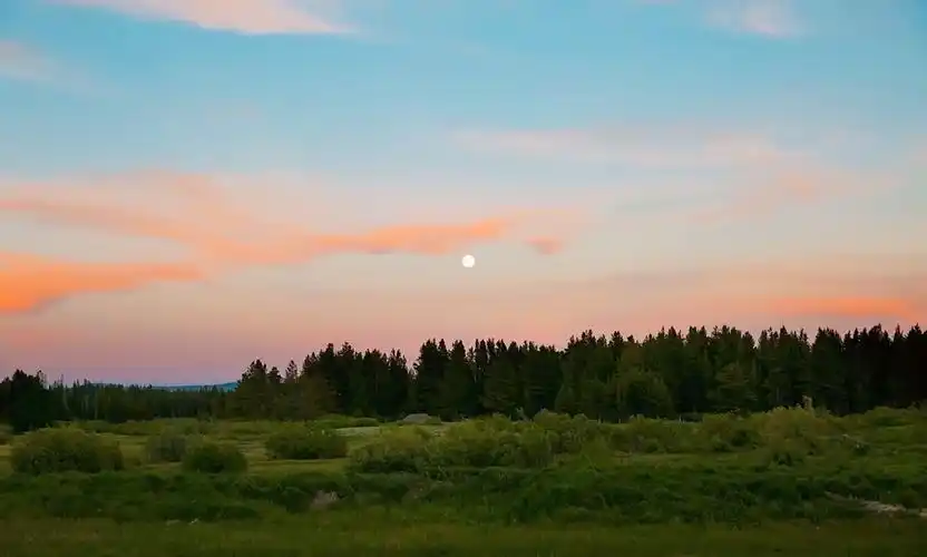 有没有看着很治愈很温暖的电脑壁纸? - 知乎