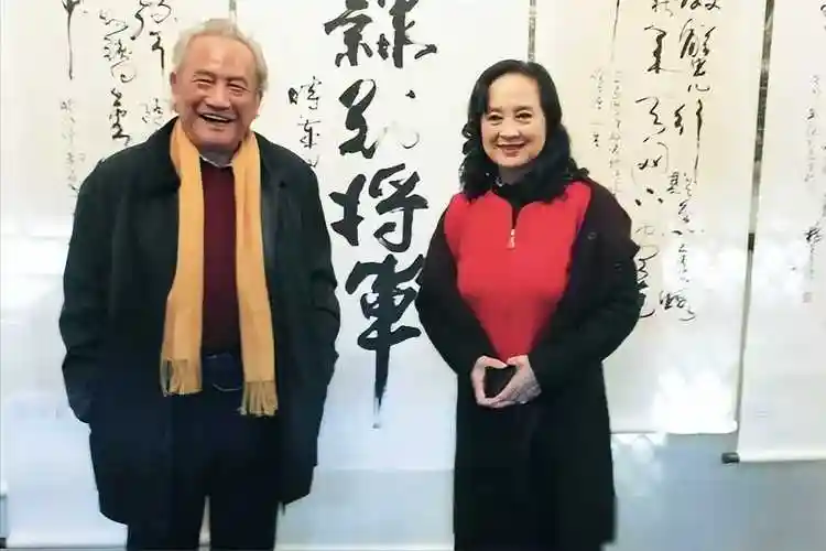 原创杨在葆的一生当红时入狱晚年拿着6000退休金和病魔做抗争