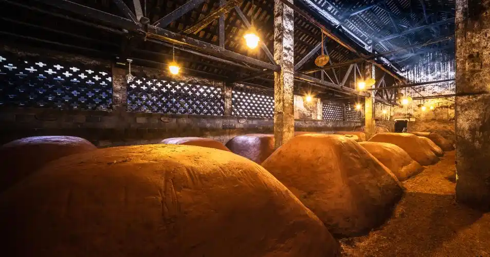 五粮液:古窖"活"七百余年 彰显中国白酒极致价值