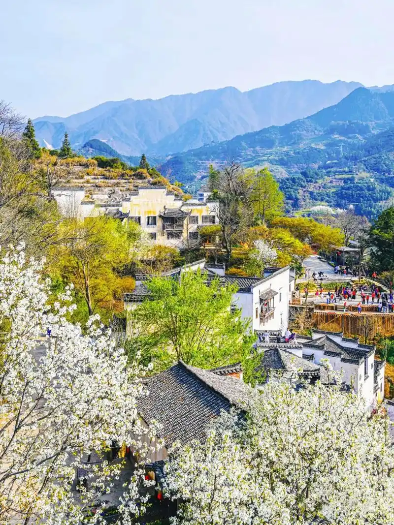 江西婺源篁岭,一梦婺源,只此篁岭!