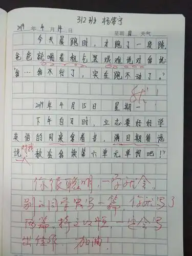 312班学生日记集锦