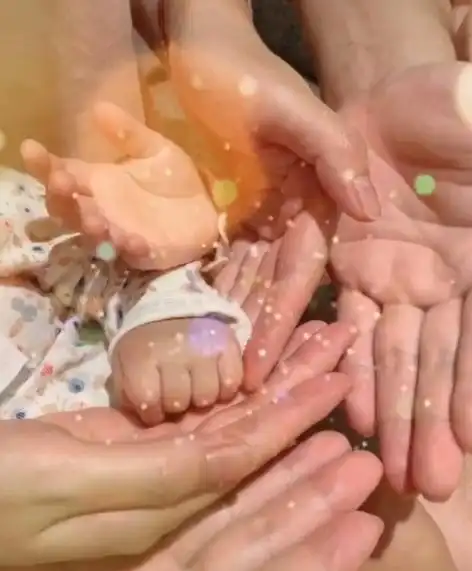 恭喜!陈赫官宣二胎得女,一家四口手拉手,陈赫彻底成为女儿奴