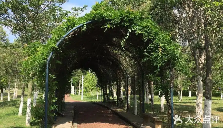 滨海公园的绿荫长廊